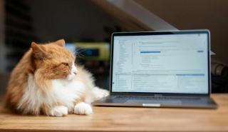 Télécharger Télécharger rawtherapee gratuitement sur Linux